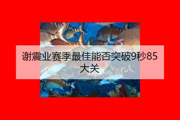 xie-zhen-ye-sai-ji-zui-jia-neng-fou-tu-po-miao-da-guan-2-833.jpg
