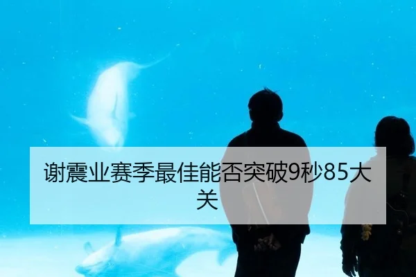谢震业赛季最佳能否突破9秒85大关