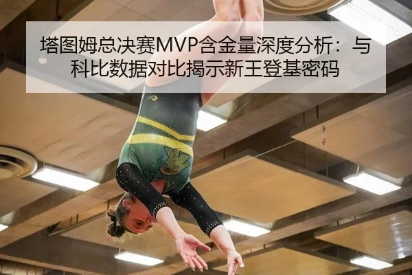ta-tu-mu-zong-jue-sai-han-jin-liang-shen-du-fen-xi-yu-ke-bi-shu-ju-dui-bi-jie-shi-xin-wang-deng-ji-mi-ma-2-940.jpg